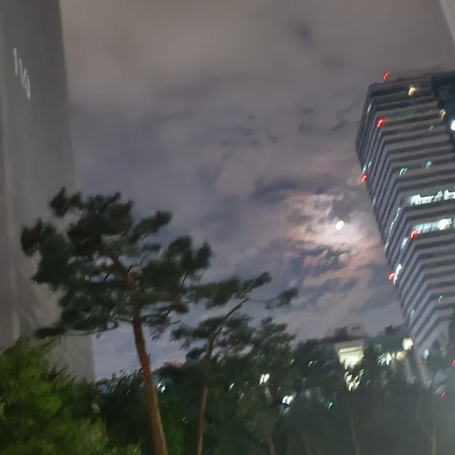 WJ맘