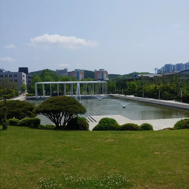 초롱이