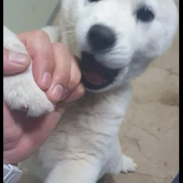 강물처럼