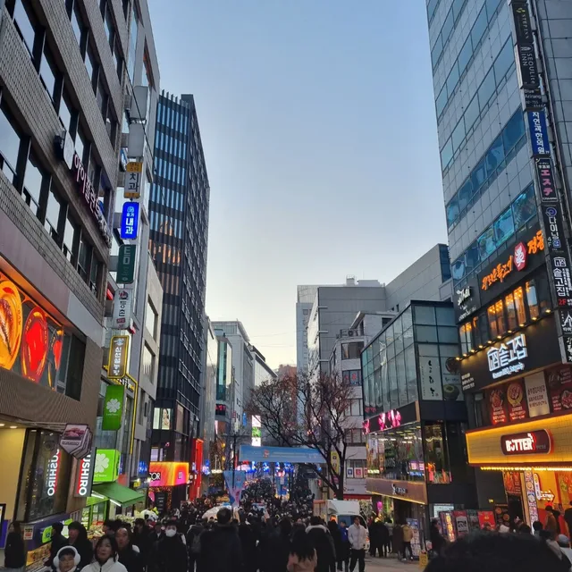 소나무