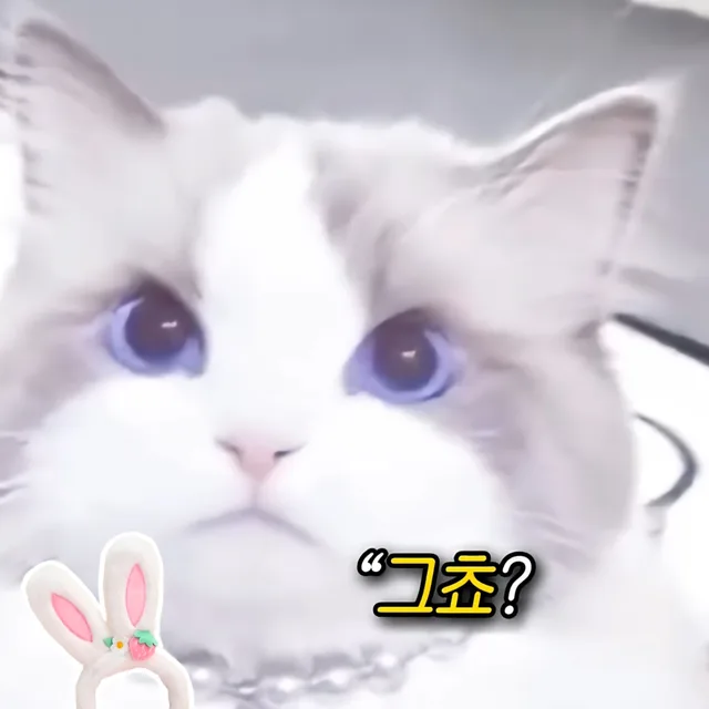 천사랑
