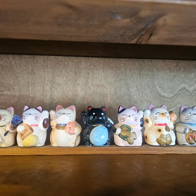 만두고양이