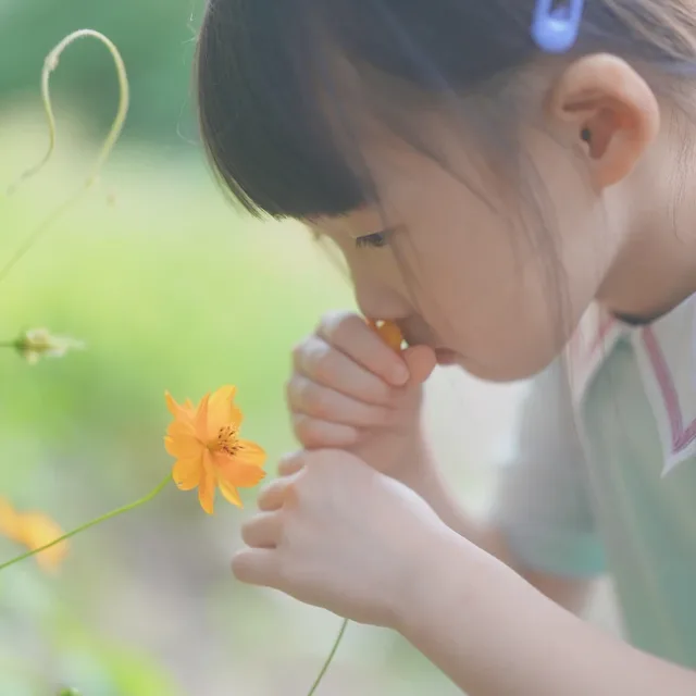 소수인동