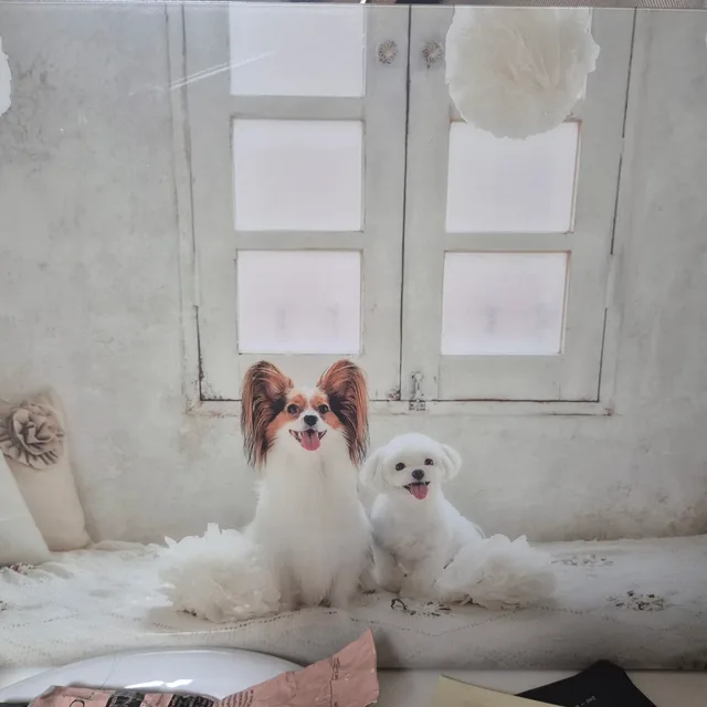초코로미