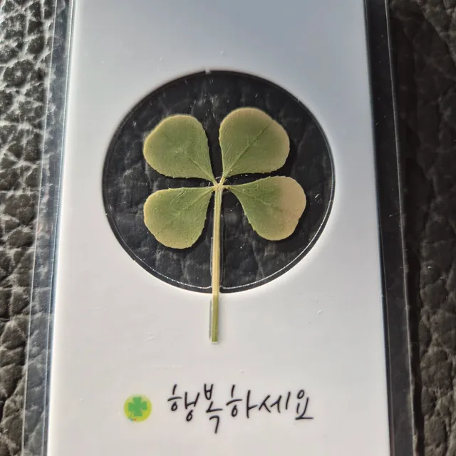 달빛천사