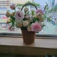 오애라뉴