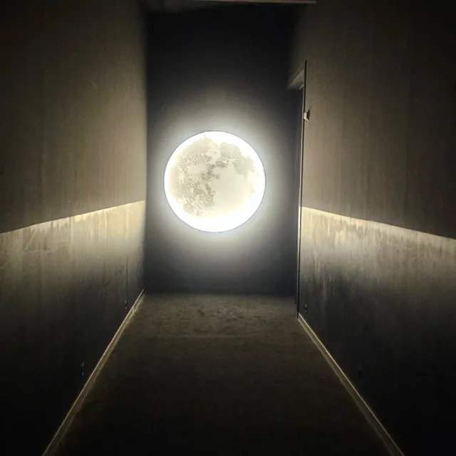 꿈지락꽁