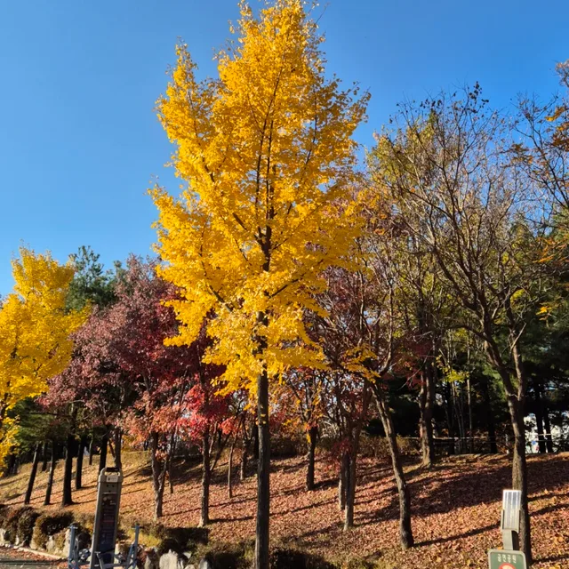 거래해요