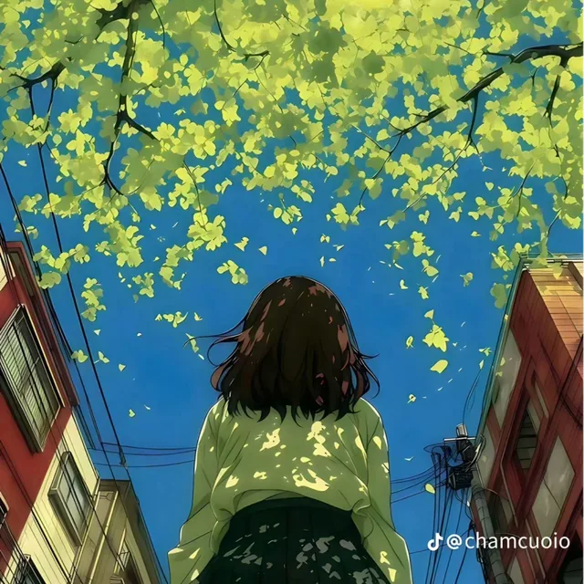맑음