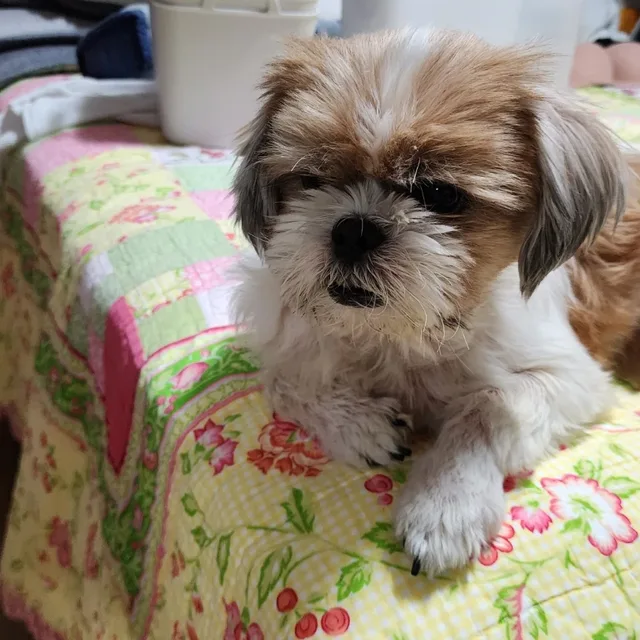 푸른색좋아