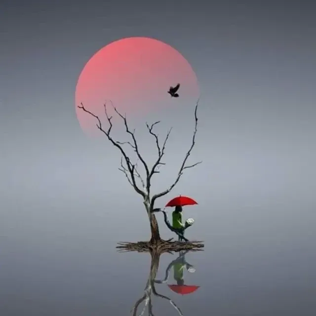 라벤다64외동
