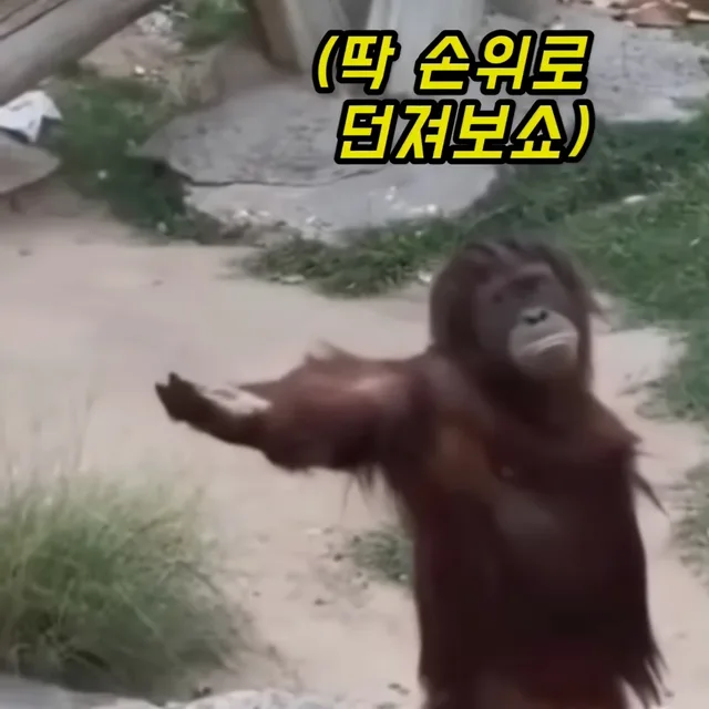 레드펜서