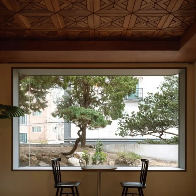 플라시보
