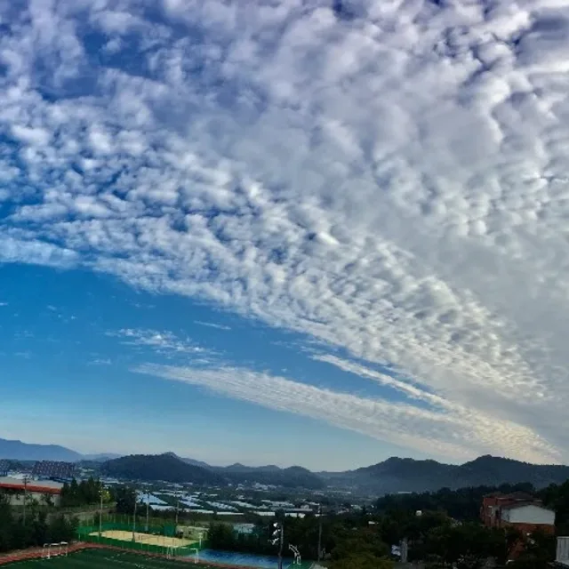 구름다람쥐