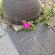 이과장