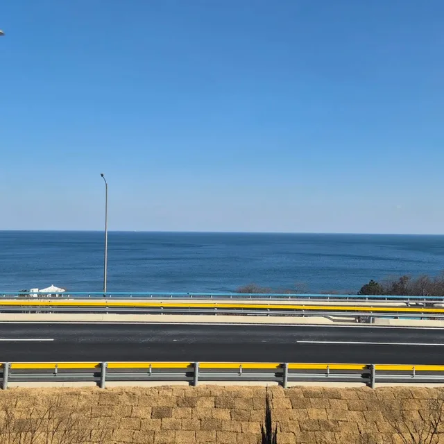 찌찌찌야