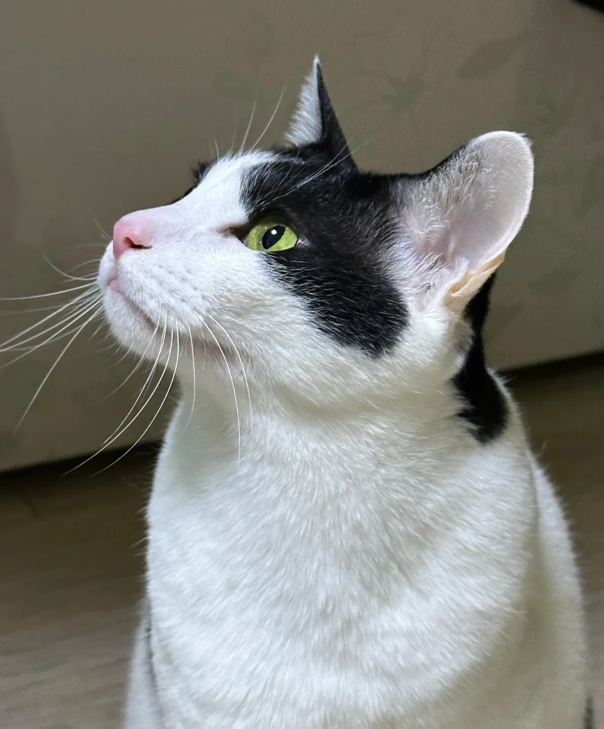 은총