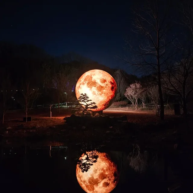 콩먀