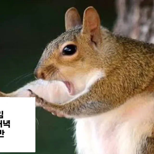 퍄하핫