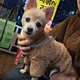 투미니
