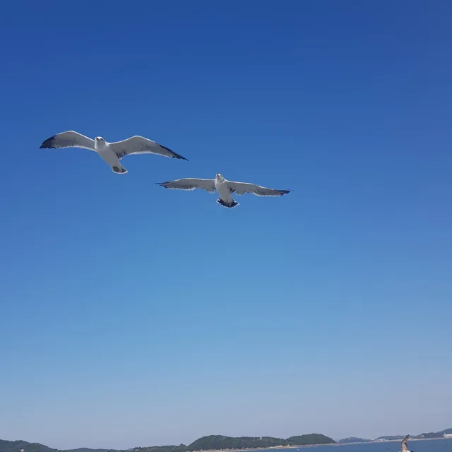 배고프면움