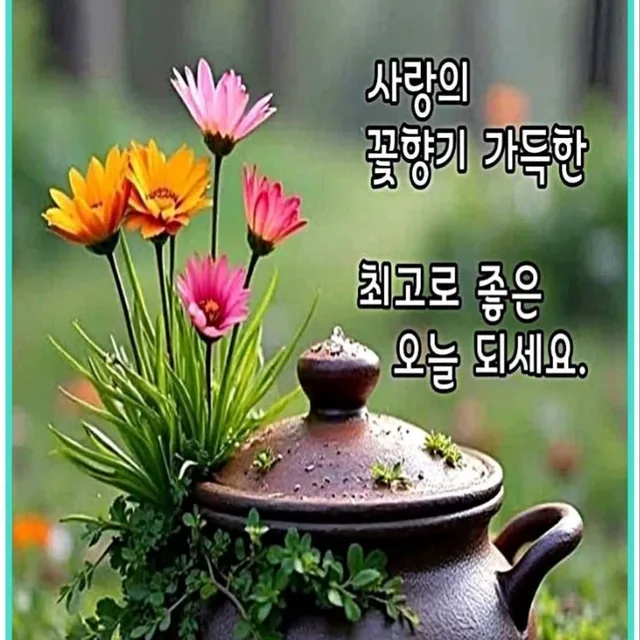 항상행복해