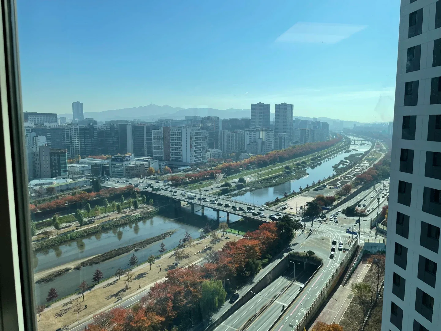 유론마미
