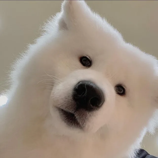 퉁퉁퉁