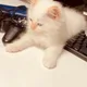 윤이