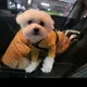 가을이맘