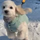 슈가하우스