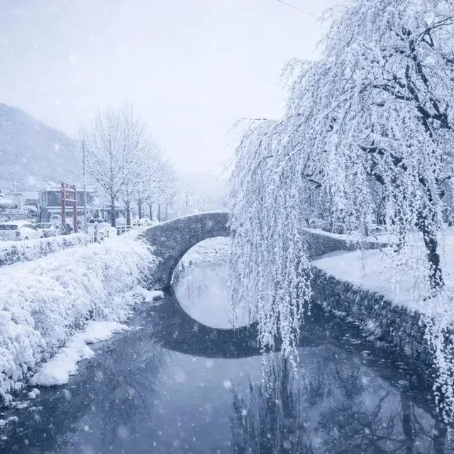 겨울지나고