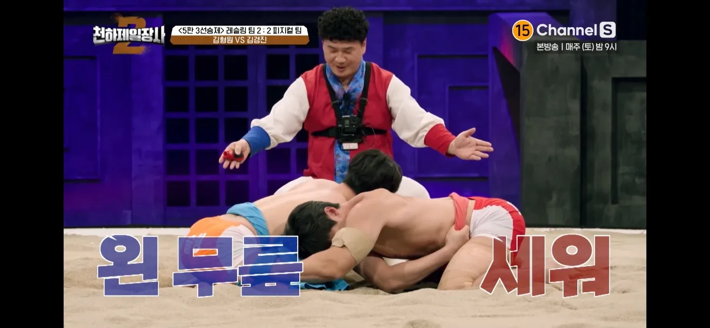 씨름돌이