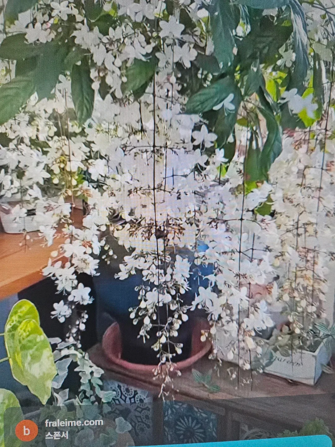 행복만땅