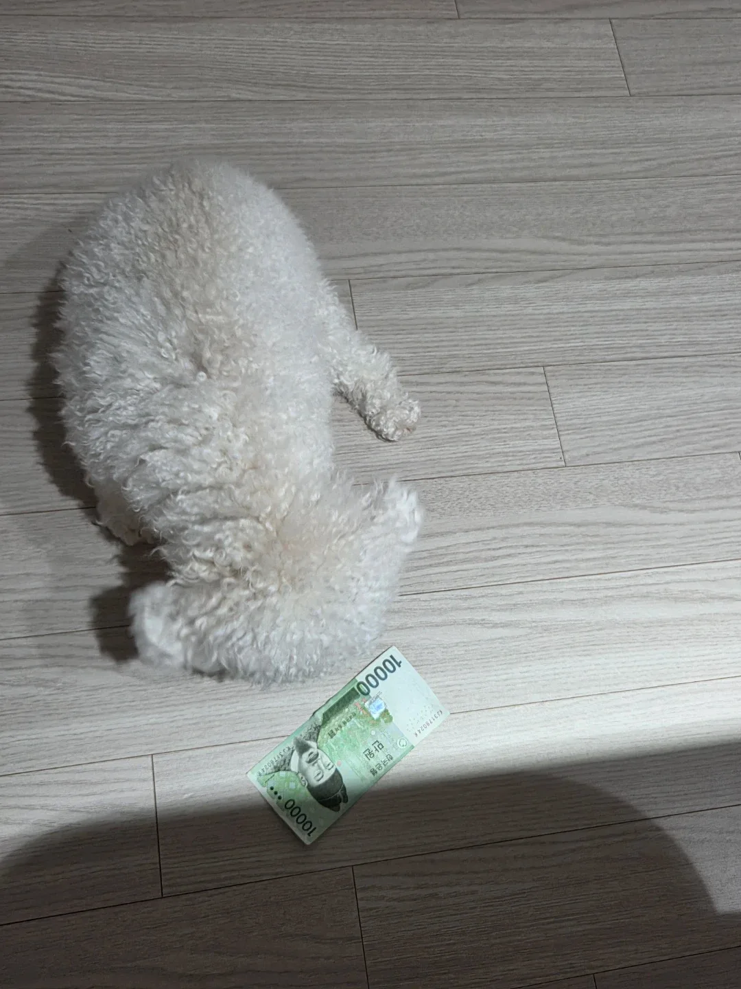 육아중보는대로답장할게요