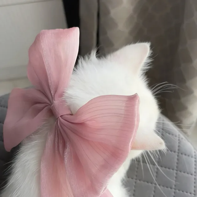 하냥