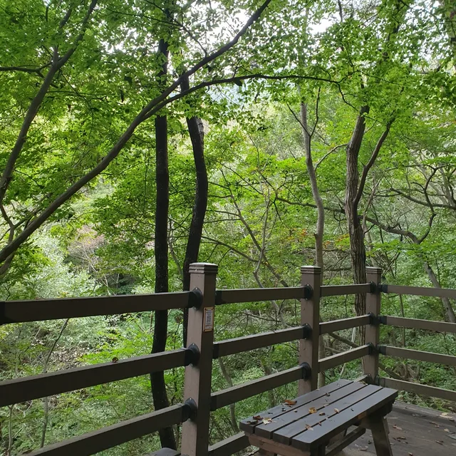 구제사랑