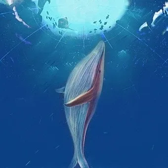 구냥보러왔쏘