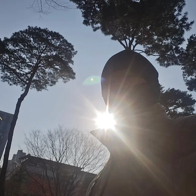 전지벌목인생