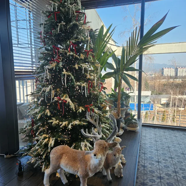 당근조앙