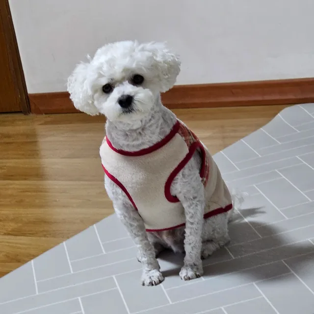 고맙습니다