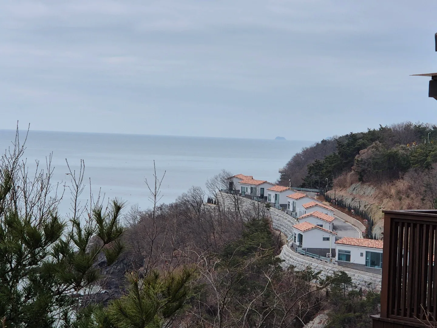 해바라기26