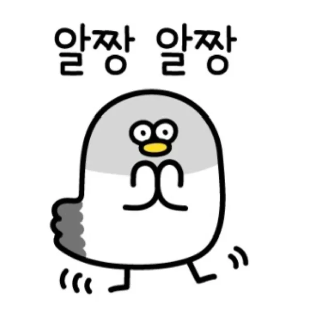 집비둘기