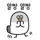 집비둘기