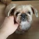 만렙몽이