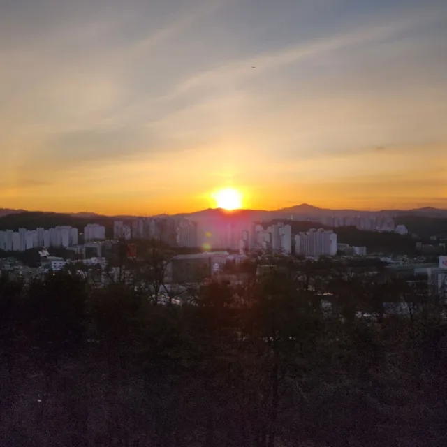 심플라이프