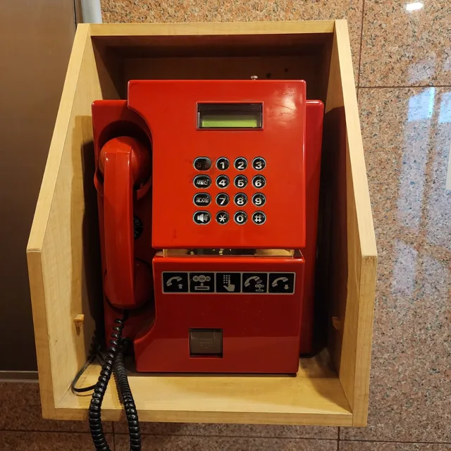 37기규순