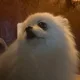 썀미