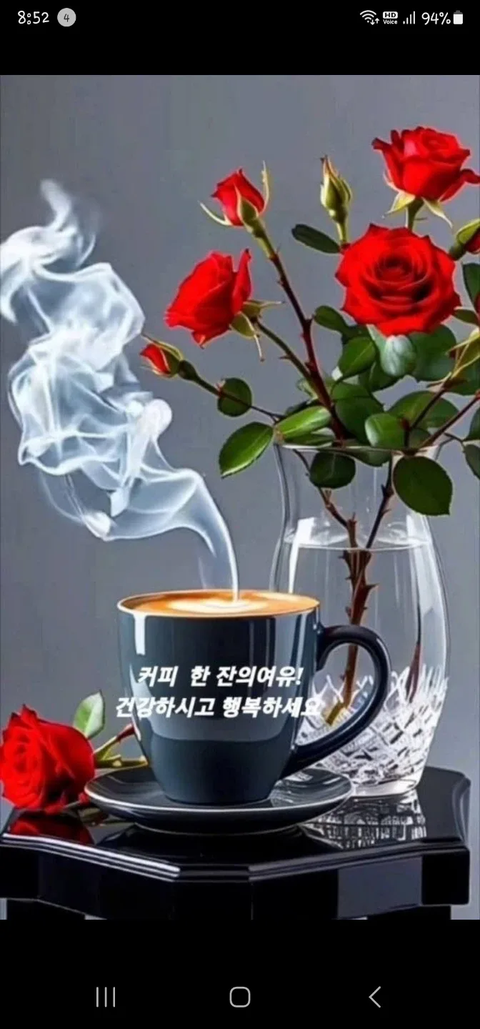 하이모모