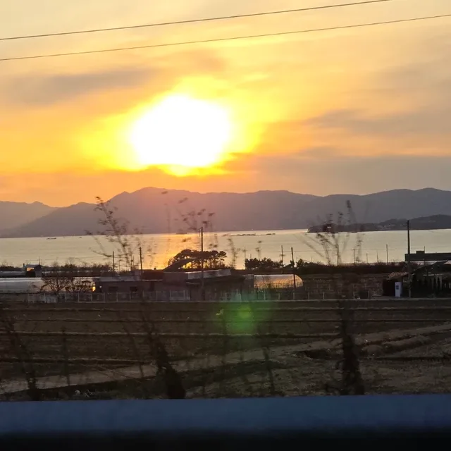 따뜻한캐럿